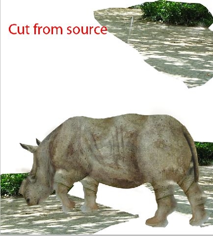 Creation of Rhino: Step 11